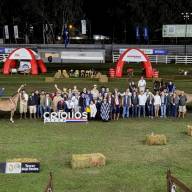 La Expo Nacional Criollos exhibió funcionalidad y calidad genética
